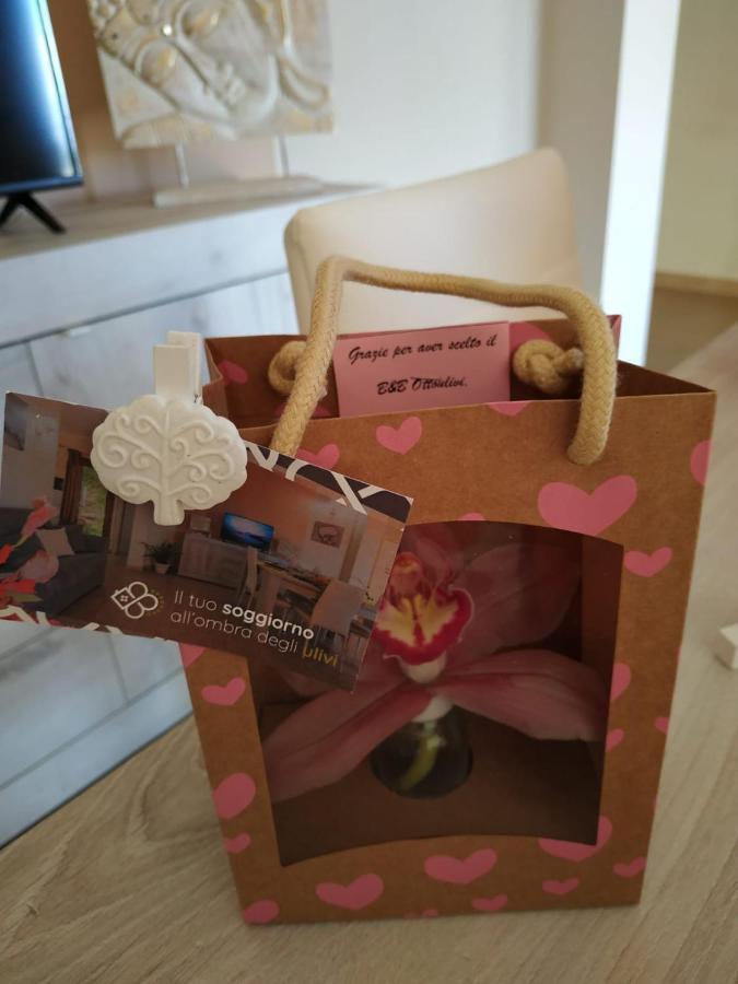 B&B Ottoulivi Sardara Luaran gambar